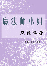 魔法师完结小说