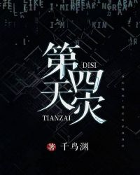 第四天灾降临小说