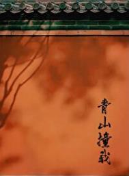 青山撞我书评