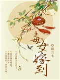 毒女戾妃小说