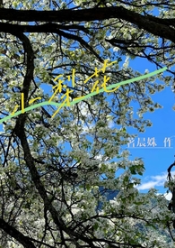 小梨花棒球帽教程